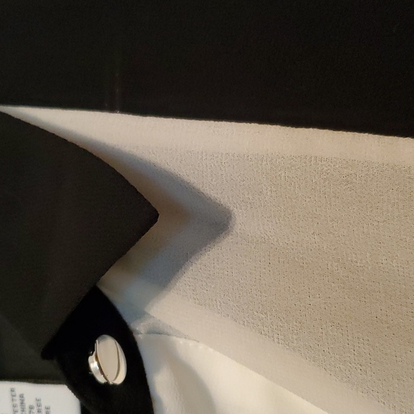 Carmen Marc Valvo Women's Sheer Sleeveless Button Down Top Size XS - Picture 5 of 7